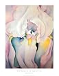 Light Iris - Art Print / Poster (Artist: Georgia O'Keefe) (Size: 22" x 28")