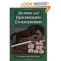 Buying and Reschooling Ex-racehorses