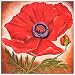 CraftNetwork - Bali Art - Smooth Flower Power Painting
