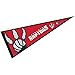 WinCraft Toronto Raptors Pennant Full Size 12 in X 30 in