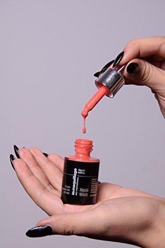 Lemaquillage Professional Brushes Make Up Set (Liquid Blush)