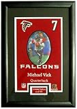Atlanta Falcons Michael Vick Framed Gallery Collection Collectible - Football Sports Merchandise