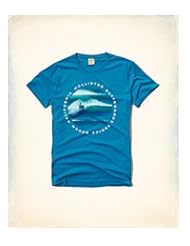 Apparel: Hollister HCO Mens Logo Graphic T shirt Tee Blue (S, Blue #21 Tee)