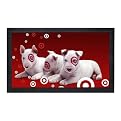Elite Screens 100" Fixed Frame Projector Screen- Black(R100H)