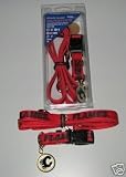 Calgary Flames Pet Accessories Set - Large (6' Leash, Collar, and ID Tag)
