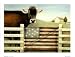 Proud Gate by Lowell Herrero. Size 7.08 inches width by 5.09 inches height. High Qual...