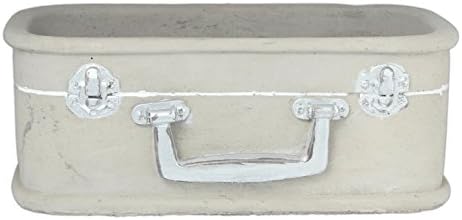 Floridus Design 4" x 10" Grey Cement Suitcase Planter