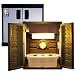 Stealth Closet Cultivation Grow Box Chamber Hydroponics Indoor Gardening Set