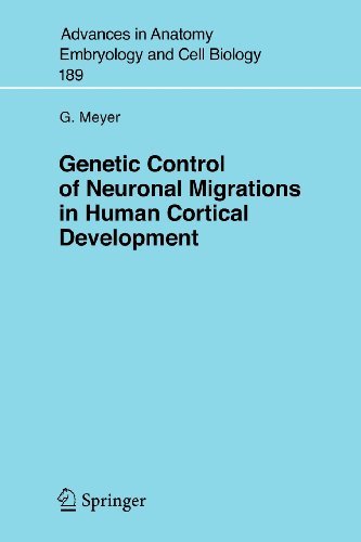 Genetic Control of Neuronal Migrations in Human Cortical Development (Advances in Anatomy, Embryology and Cell Biology) On Sale