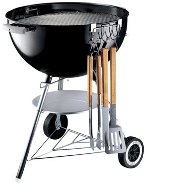 Weber 7401 Tool Holder
