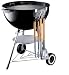 Weber 7401 Tool Holder