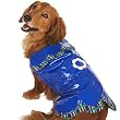 Companion Road Pet Fashions - Raincoat - XS