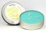 41PbJwhyvqL. SL160  NEW Abundance Soy Candle Tin   CTCABU
