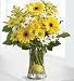 Flowers - Make Lemonade in a Vase
