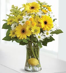 100% Satisfaction and Freshness GuaranteedIf this is a gift, please remember to check the This is a gift checkbox.In order to provide a more accurate delivery, please ensure that an exact delivery date is selected.