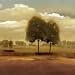 Around the Bend - John Clayton Art Print Poster 25 x 25