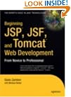 Beginning JSP, JSF...
