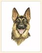 Fiddler's Elbow German Shepherd Blank Box Note Cards