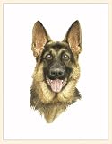 Fiddler's Elbow German Shepherd Blank Box Note Cards
