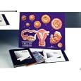 Cell to Embryo Model Activity Set for Grades 6-12