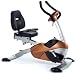 Cap Barbell Omega Recumbent Bike (Copper)