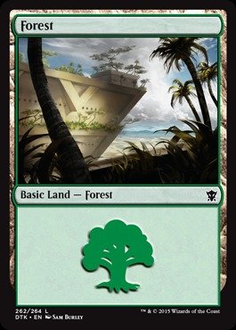 Magic: the Gathering - Forest (262/264) - Dragons of Tarkir - Foil