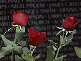 Roses Glow against the Black Granite of the Vietnam Veterans Memorial Photographic Poster Print by Karen Kasmauski, 42x56