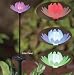 Smart Solar Chameleon Solar Light Stake, Water Lily/Holiday Tree