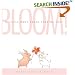 Bloom! A Little Book About Finding Love