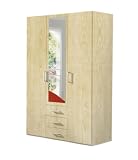Solutions 16301-033 Dreht&uuml;renschrank 150 x 216 x 58 cm / Ahorn Nachbildung