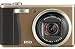 Ricoh R10 (Brown) Digital Camera