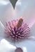 Magnolia Flower - 18