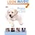 Puppy Care (Dennis-Bryan, Kim. How to Look After Your Pet.)