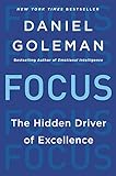 Focus: The Hidden Driver of Excellence