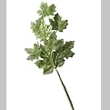Set of 4 Glitter Maple Leaf Stems