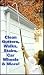 Gutter Cleaning Tool - Gutter Flusher
