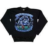 Carolina Panthers - Banner Sweatshirt - Large