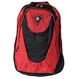 Victorinox Dual Compartment Backpack