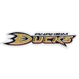 NHL Anaheim Ducks Embroidered Team Logo Collectible Patch