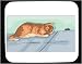 Mouse Pad with hunting, kitten, hole, mouse, cat, waiting