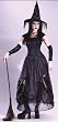 Bewitching Enchantress Womens Classic Witch Costume Halloween