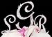 All Over Swarovski Rhinestone Monogram Wedding Cake Topper