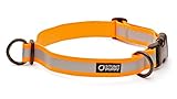 Stunt Puppy Go Dog Glo Dry Dog Collar, Orange