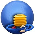 GYM BALL EXERCISE BALL 65 CM WITH FOOTPUMP