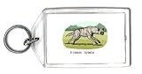 Keychain with africa, hyena, animal, dog