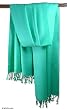 Pashmina shawl, 'Fresh Adornment'