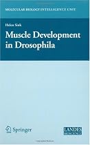 Muscle Development in Drosophilia (Molecular Biology Intelligence Unit)