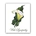 Calla Lily - Sympathy Gift Enclosure Cards (set of 12)