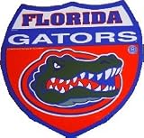 Florida Gators Route Sign **