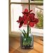 New Artificial Amaryllis Flower Arrangement w/Glass Vase Red/White/Pink Beautiful Amazing
